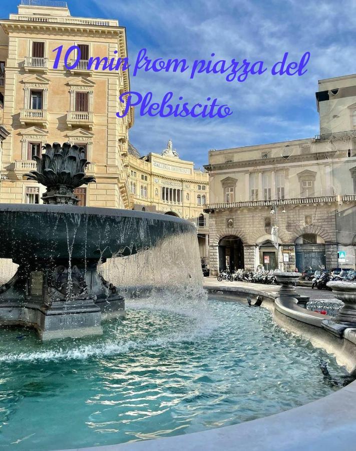 Bilocale Del Gesù Nuovo Appartamento Napoli